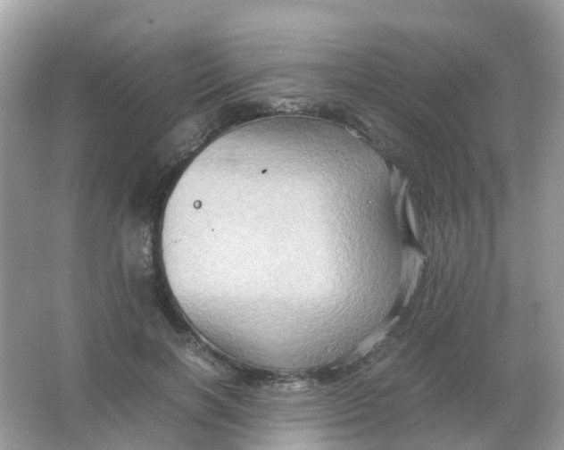 X0000065980646200603241940