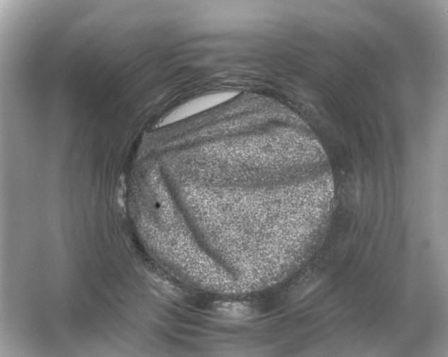 X0000065980649200603241940