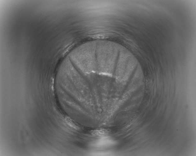 X0000065980652200603241941