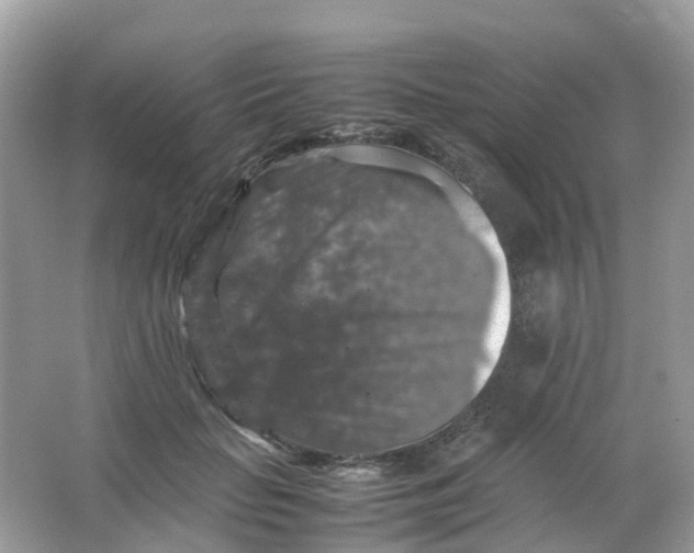 X0000065980653200603241941