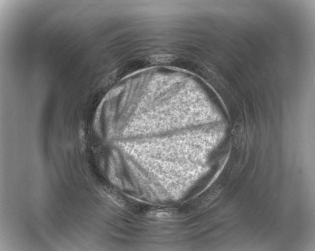 X0000065980655200603241941