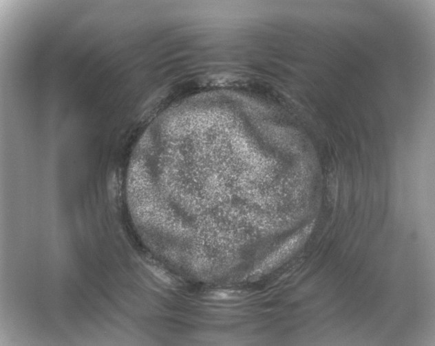 X0000065980657200603241941