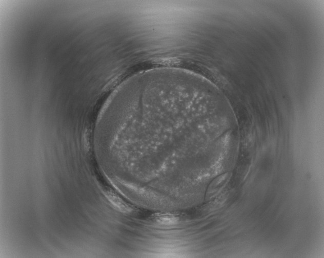 X0000065980658200603241941