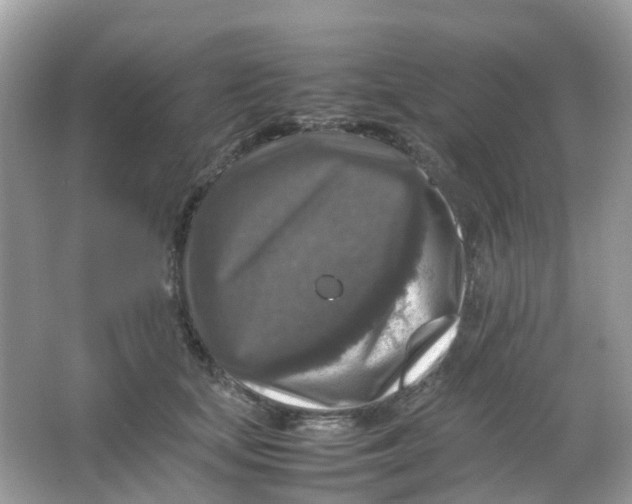 X0000065980659200603241941