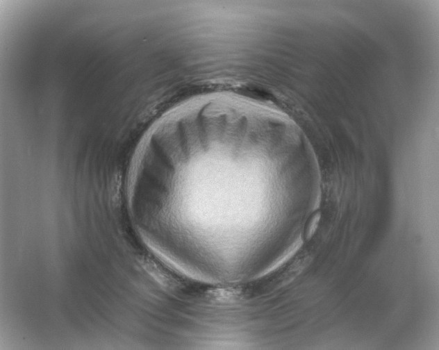 X0000065980660200603241941