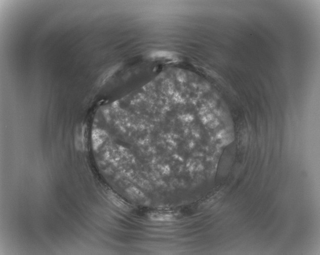 X0000065980661200603241941