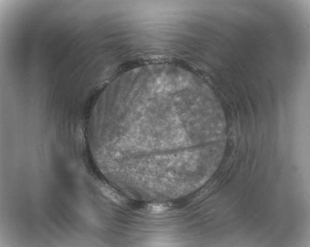 X0000065980662200603241941