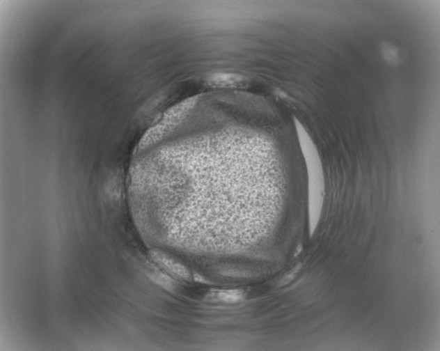 X0000065980665200603241941