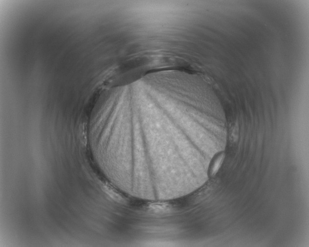 X0000065980666200603241941