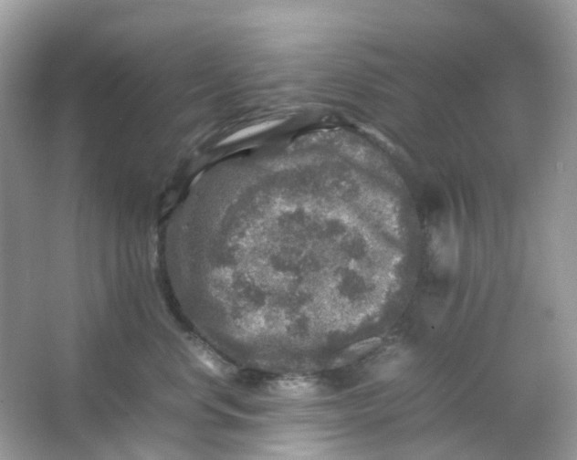 X0000065980668200603241941