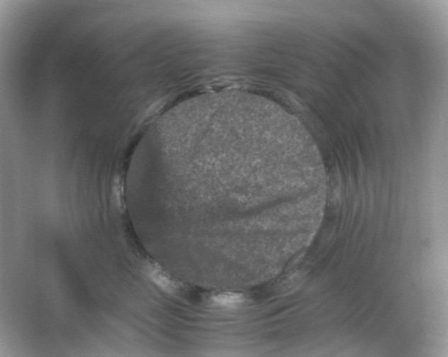 X0000065980669200603241941