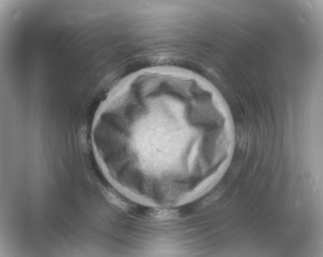 X0000065980670200603241941