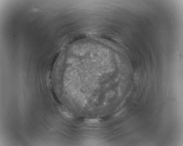 X0000065980671200603241941