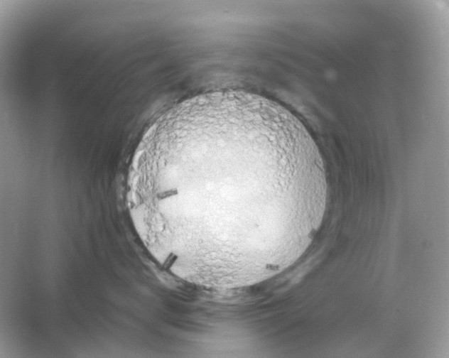 X0000065980672200603241941