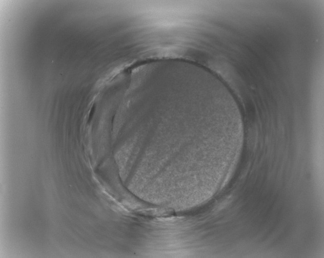 X0000065980673200603241940