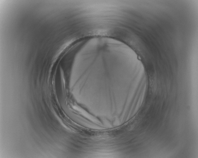 X0000065980674200603241940