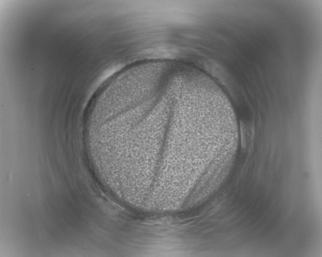 X0000065980675200603241940