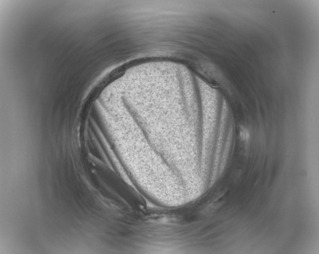 X0000065980676200603241940