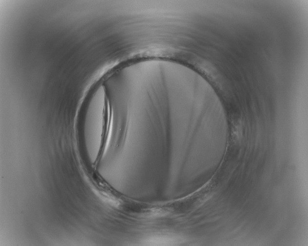 X0000065980678200603241940