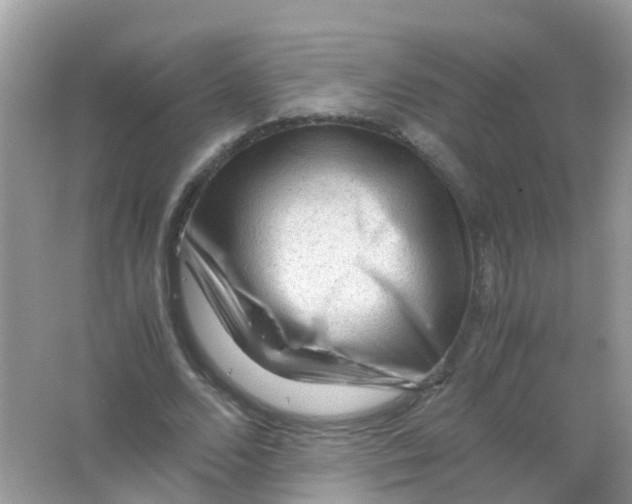 X0000065980680200603241940