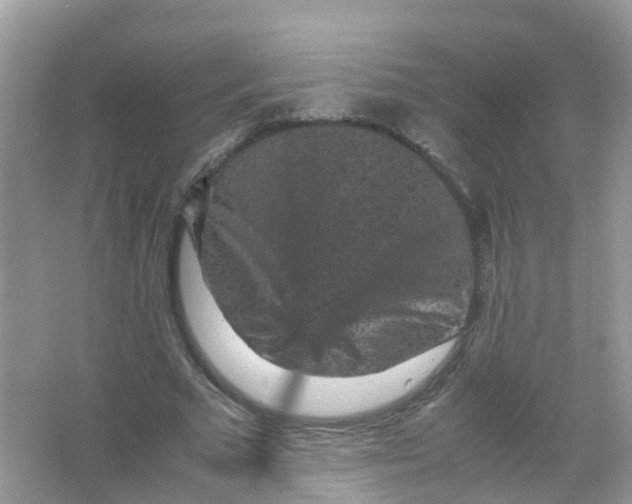 X0000065980681200603241940