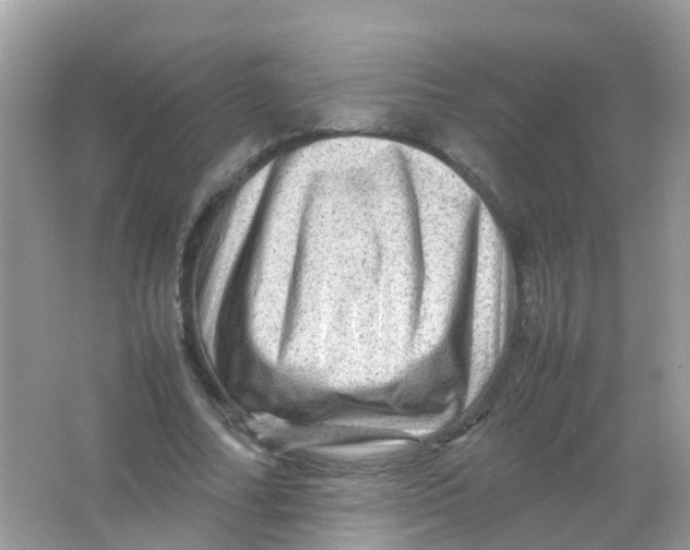 X0000065980682200603241940