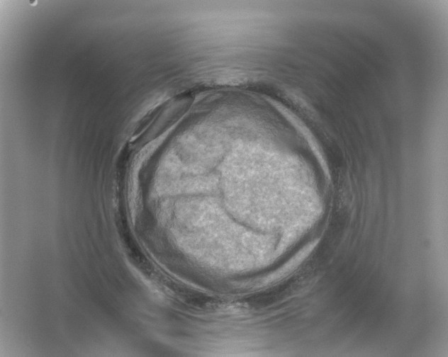 X0000065980683200603241940