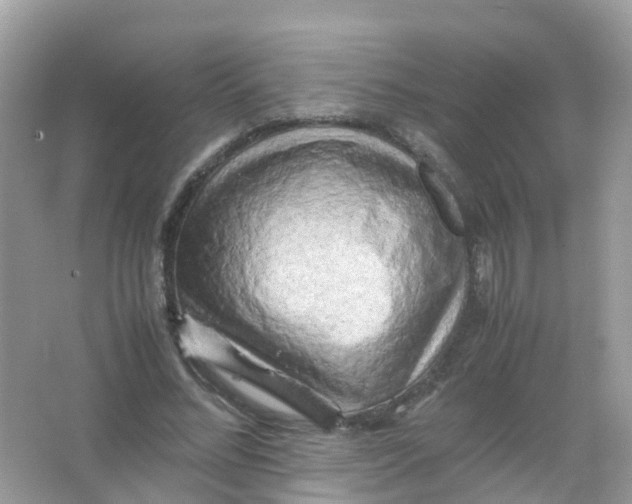 X0000065980684200603241940