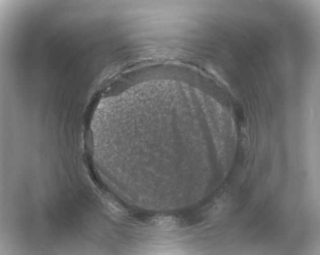 X0000065980685200603241940