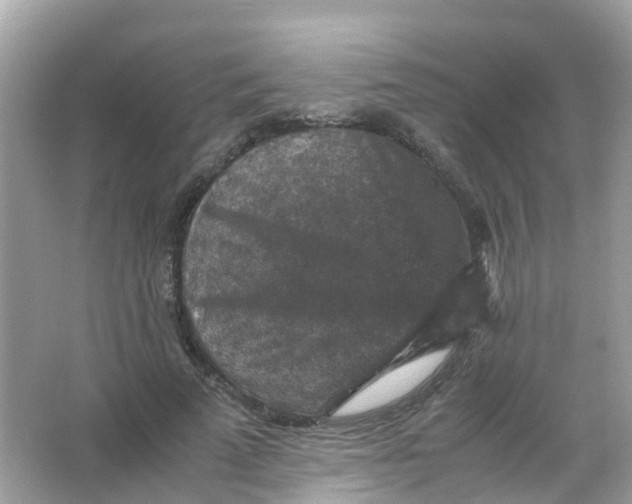 X0000065980689200603241940