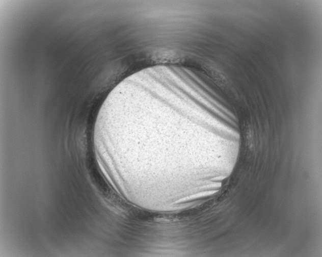 X0000065980690200603241940