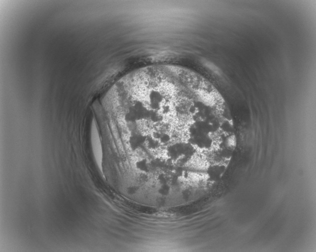 X0000065980691200603241940