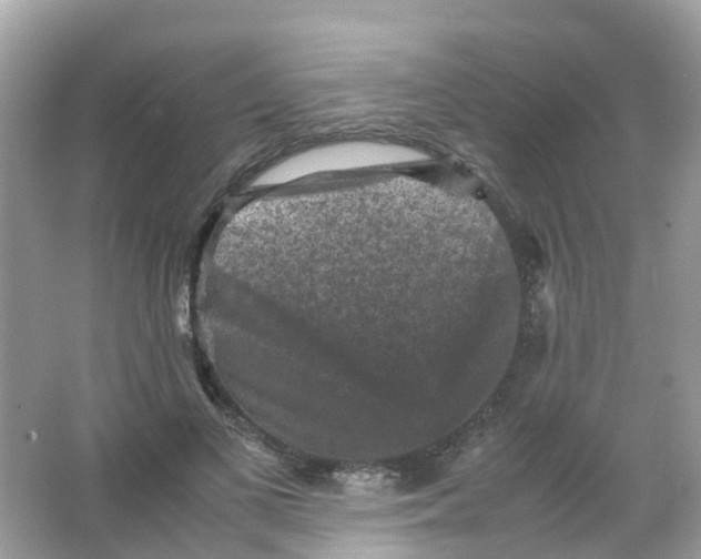 X0000065980693200603241940