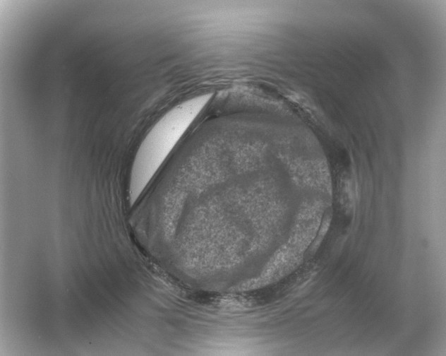 X0000065980697200603241940