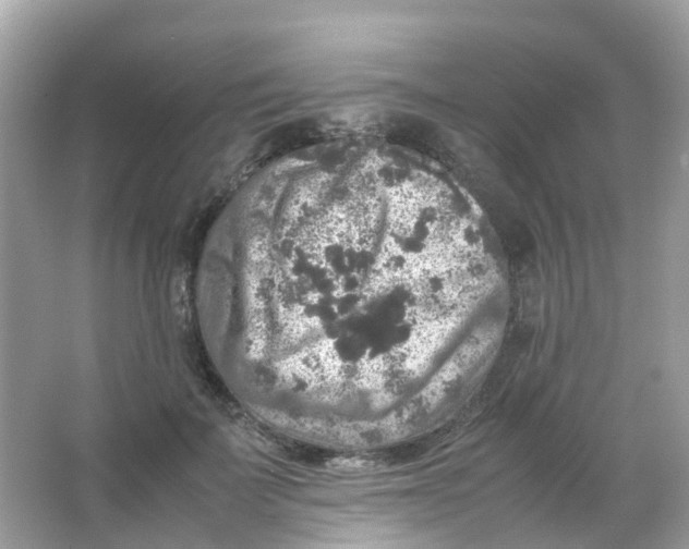 X0000065980699200603241940