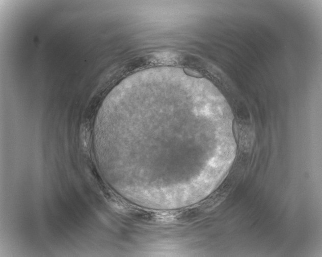 X0000065980701200603241939