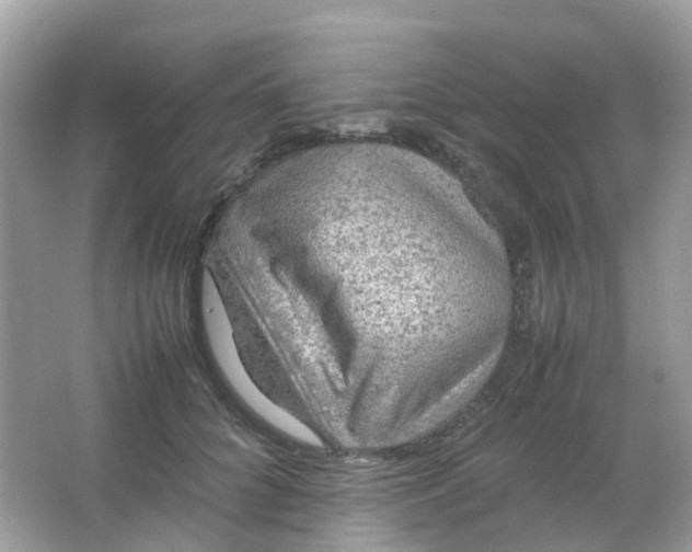 X0000065980704200603241939