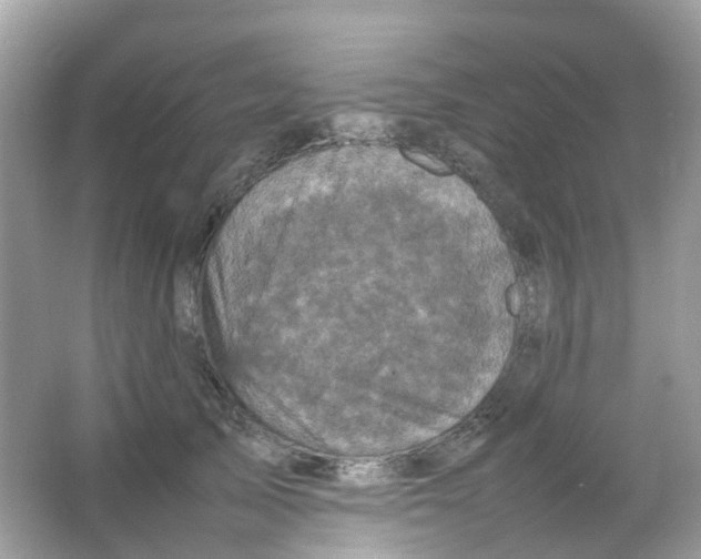 X0000065980705200603241939