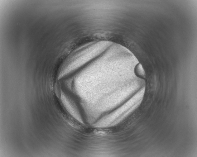 X0000065980706200603241939