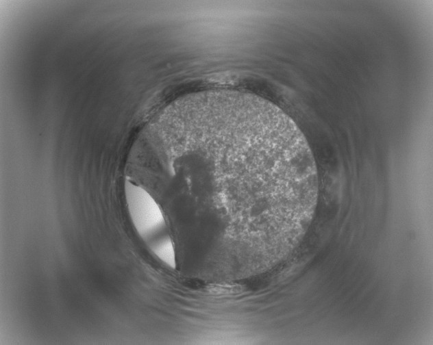 X0000065980707200603241939