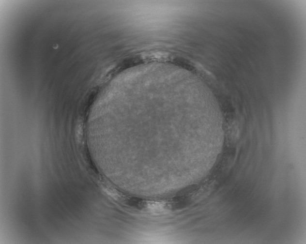 X0000065980709200603241939