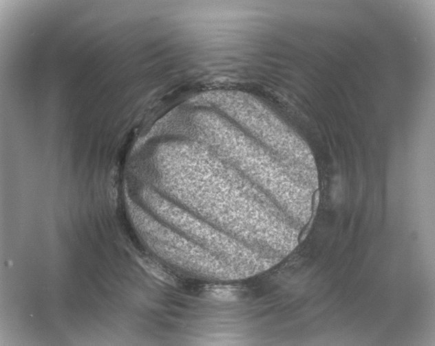 X0000065980710200603241939