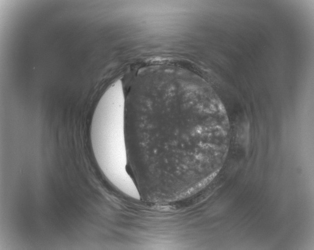 X0000065980711200603241939