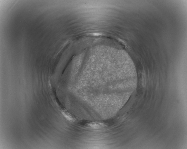 X0000065980712200603241939