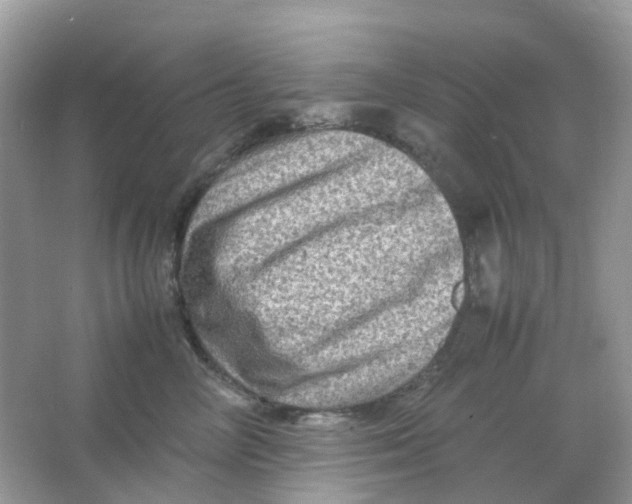 X0000065980714200603241939