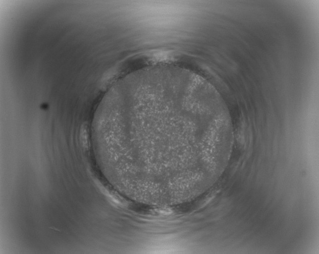 X0000065980715200603241939