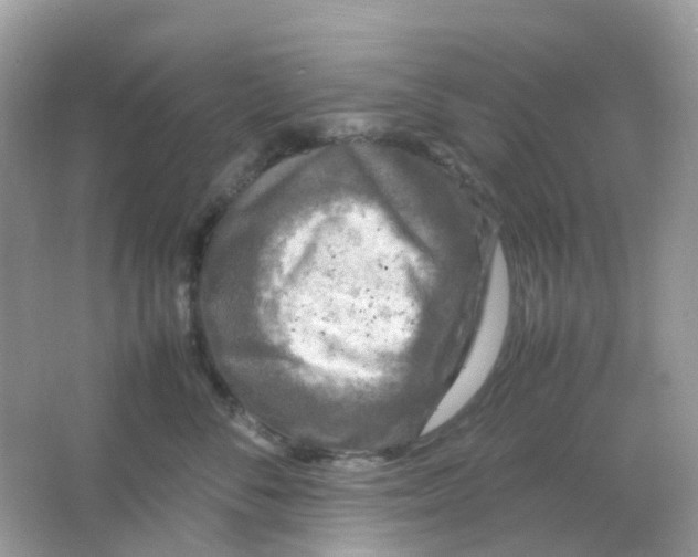 X0000065980716200603241939