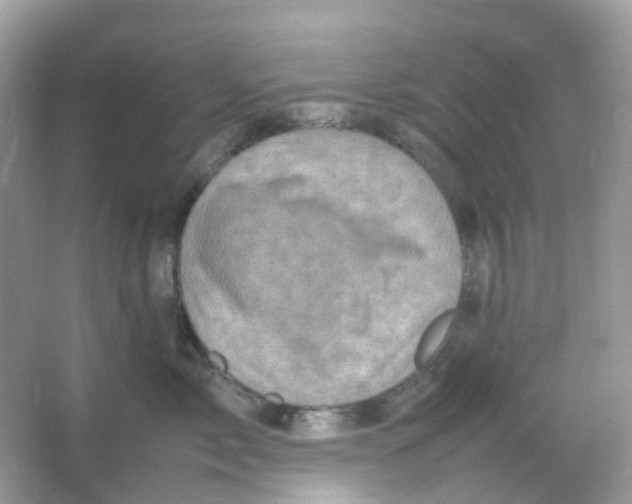 X0000065980717200603241939