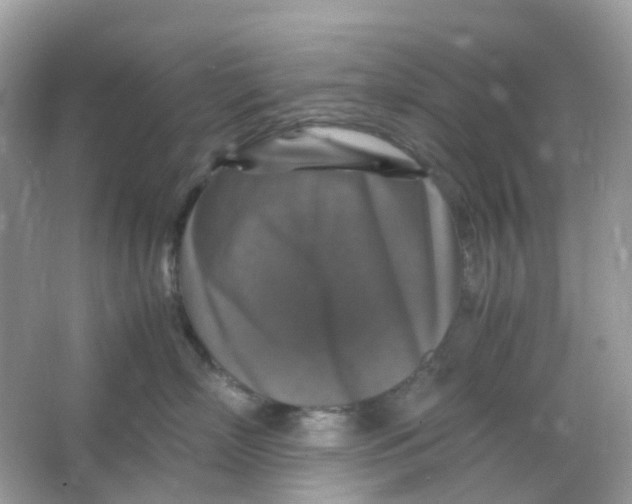 X0000065980718200603241939