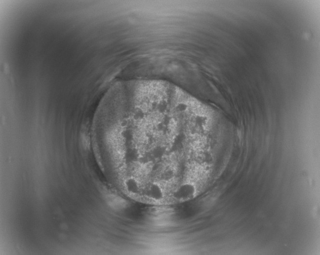 X0000065980719200603241939